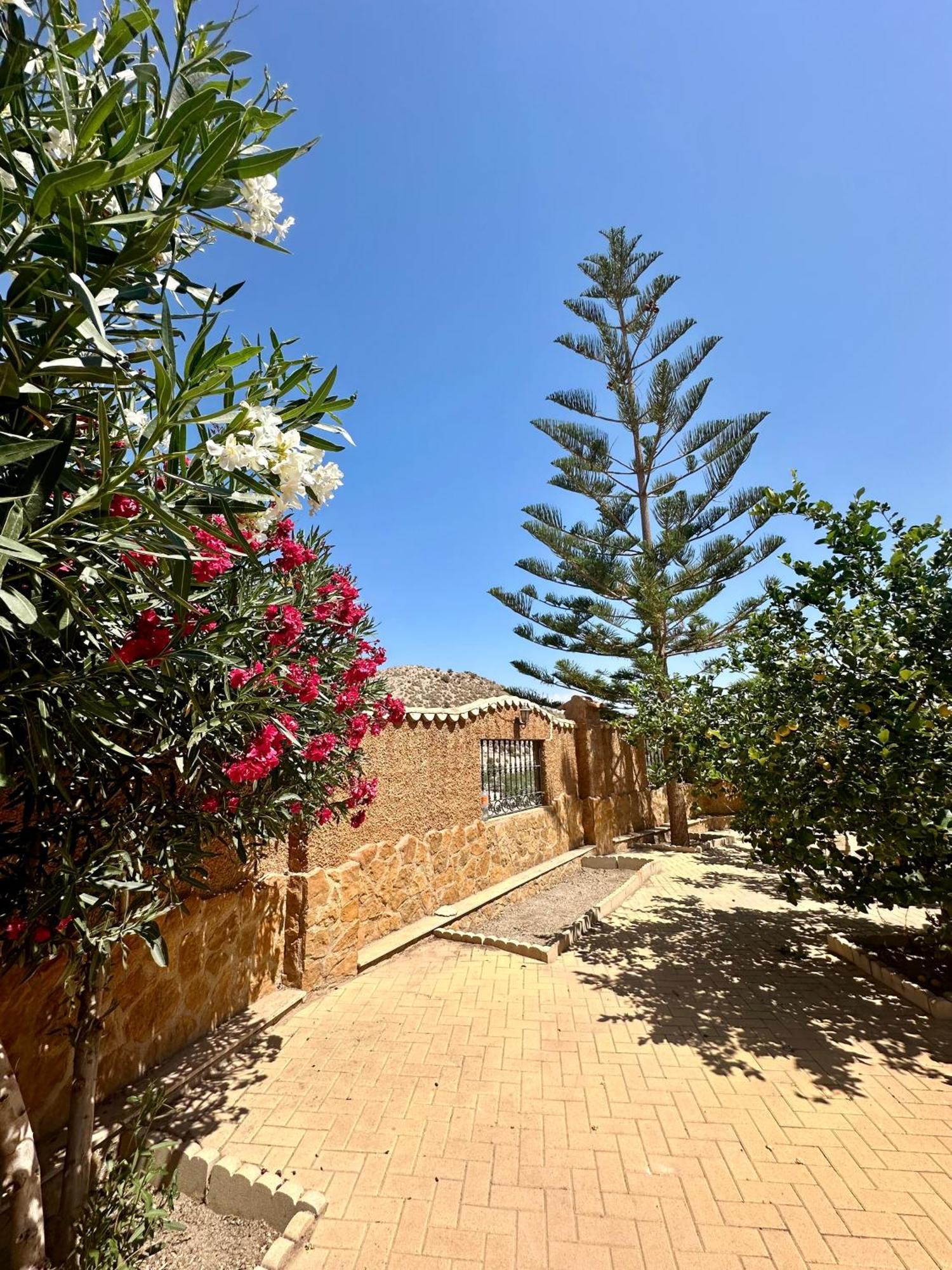 Casa Rural El Pomelo Сурхена Экстерьер фото